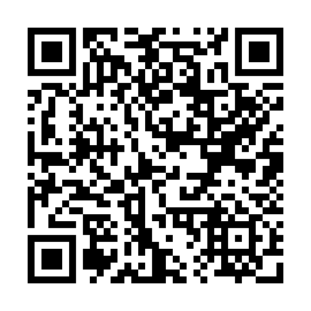 QR code for R63339