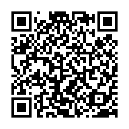 QR code for R63419