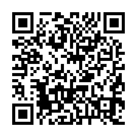 QR code for R63951