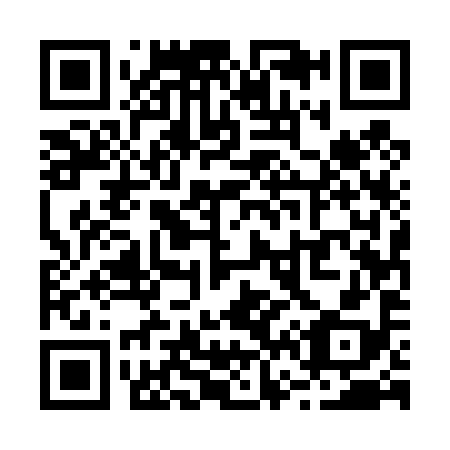 QR code for R65498