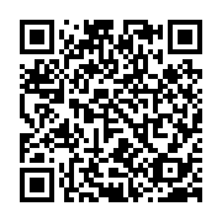 QR code for R67238