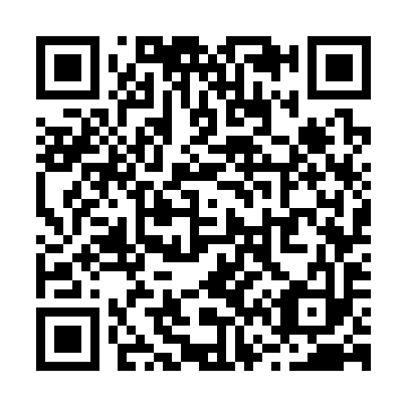 QR code for R67393