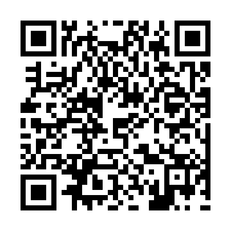 QR code for R73383