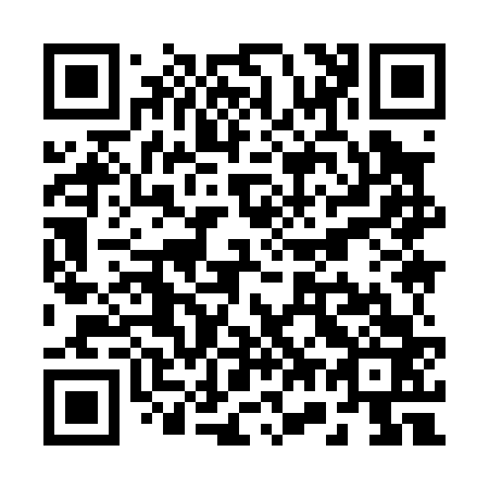 QR code for R79063