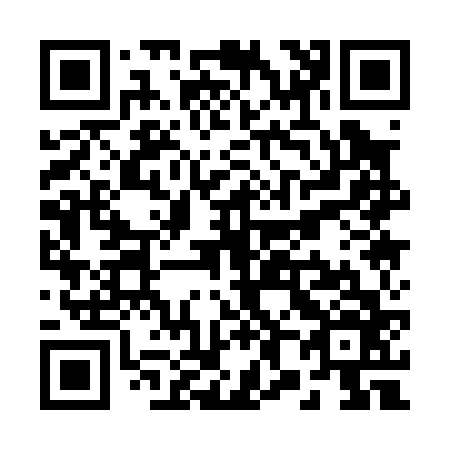 QR code for R81066