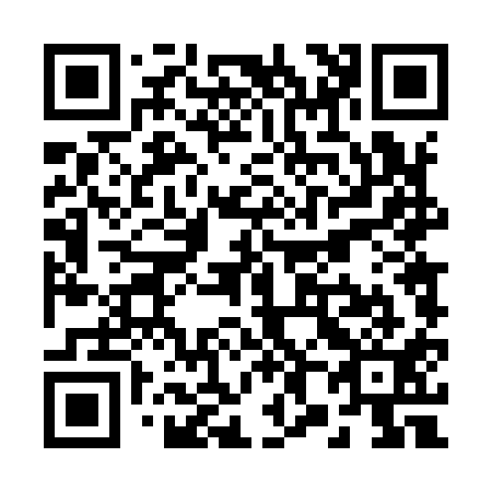 QR code for R84911