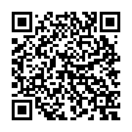 QR code for R85336