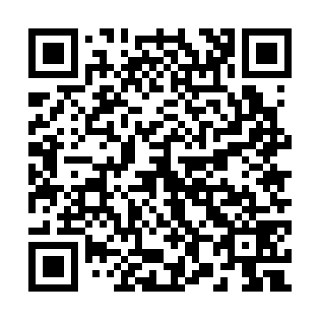 QR code for R85379