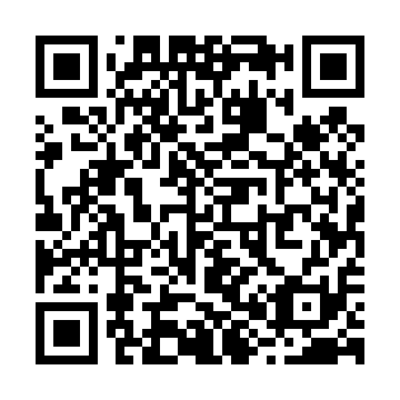 QR code for R85411