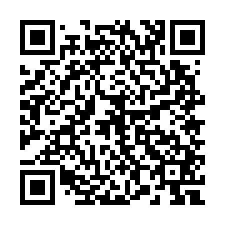QR code for R85741