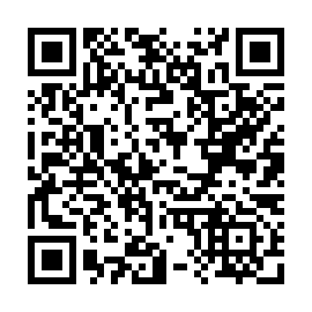 QR code for R86393