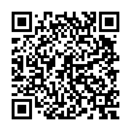 QR code for R88411