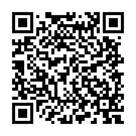 QR code for R90595
