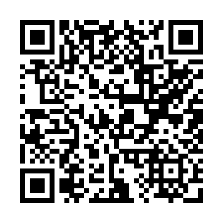 QR code for R91239