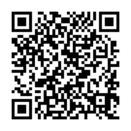 QR code for R94291