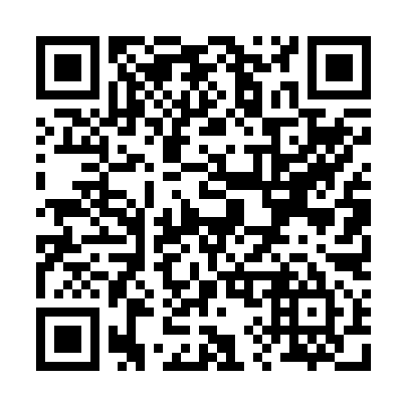 QR code for R94295