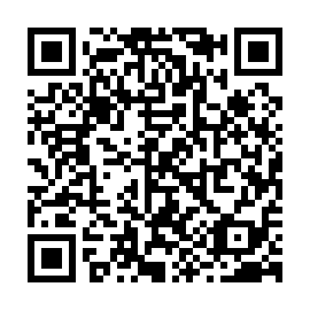 QR code for R95119