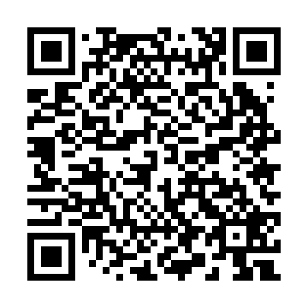 QR code for R95229