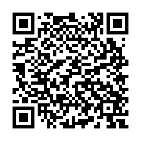 QR code for R95343