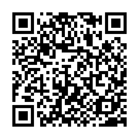 QR code for R96101