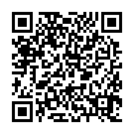 QR code for R96384