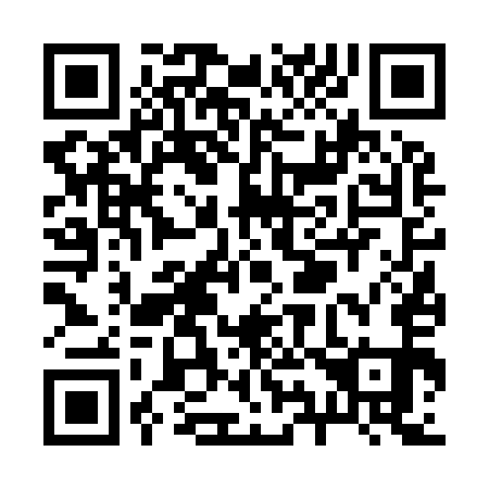 QR code for R96951