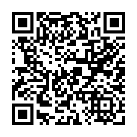 QR code for R97393