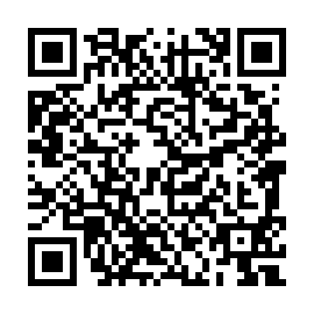 QR code for RAL-7903