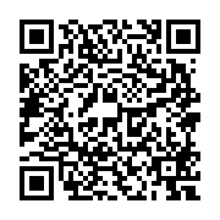 QR code for plate RAY-6897