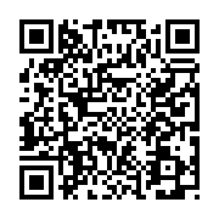 QR code for REP0314