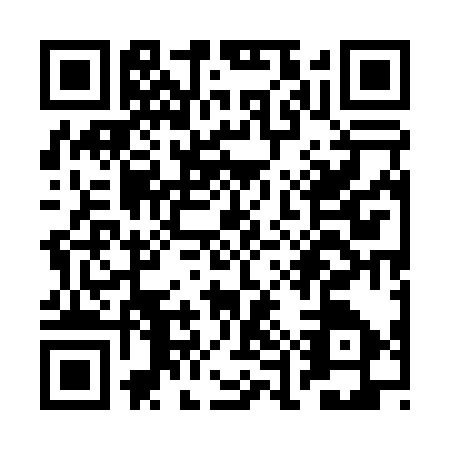 QR code for REU0374
