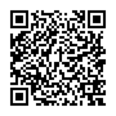 QR code for RFX9687