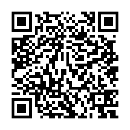 QR code for RFZ0399