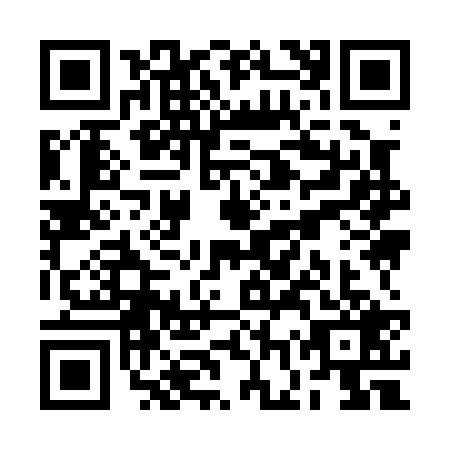 QR code for RGY-0294