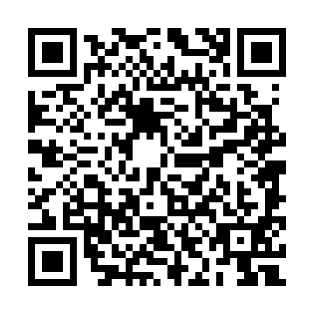QR code for RID-3919