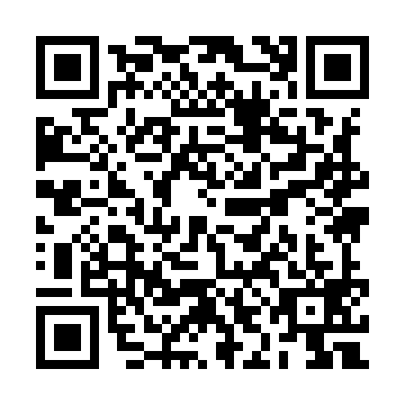 QR code for RII9991