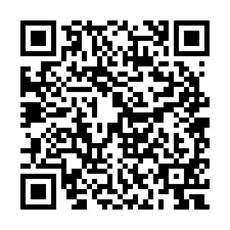 QR code for RIR-2919