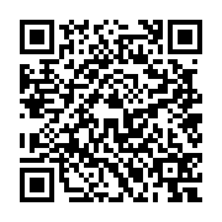 QR code for RMG-0369