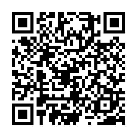 QR code for RQO0029