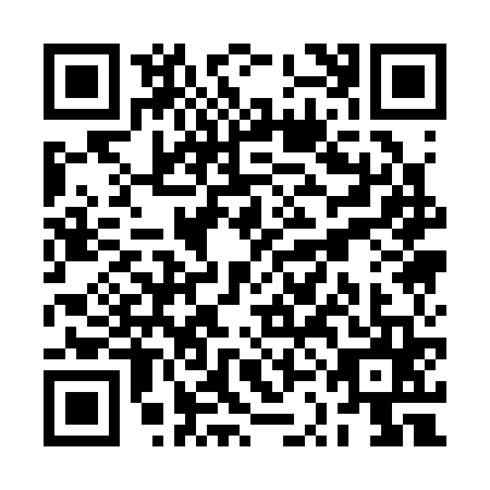 QR code for plate RSA-3656