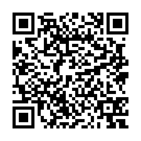 QR code for RSI0341