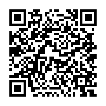 QR code for RYE-0028