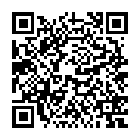 QR code for RYO-6290