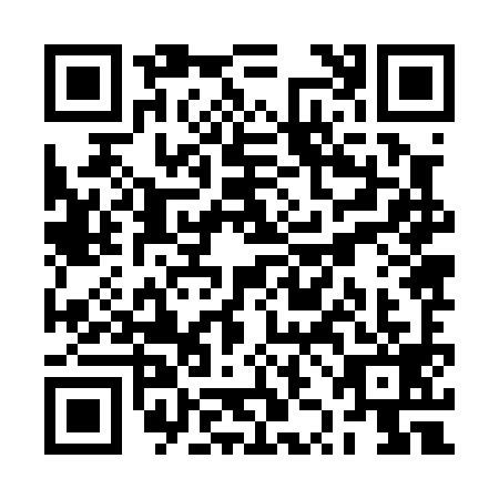 QR code for RZJ-0991