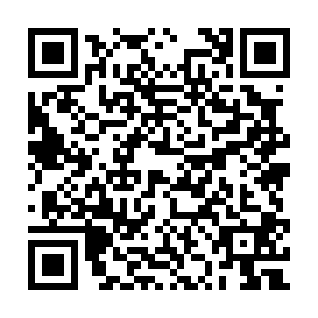 QR code for RZM-0003