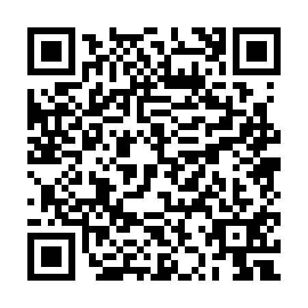QR code for RZP3111