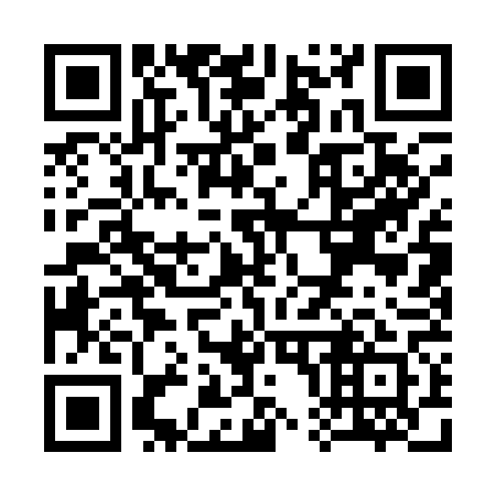 QR code for S01161