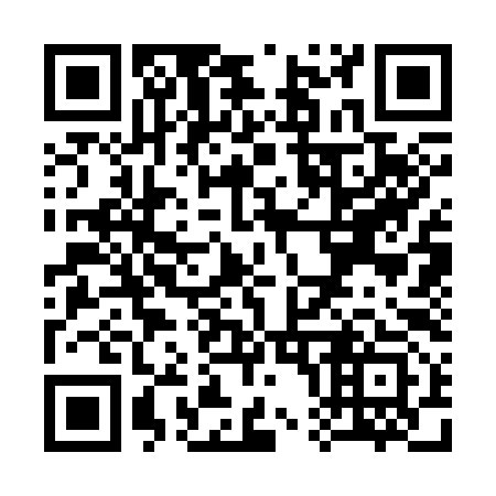 QR code for S03393