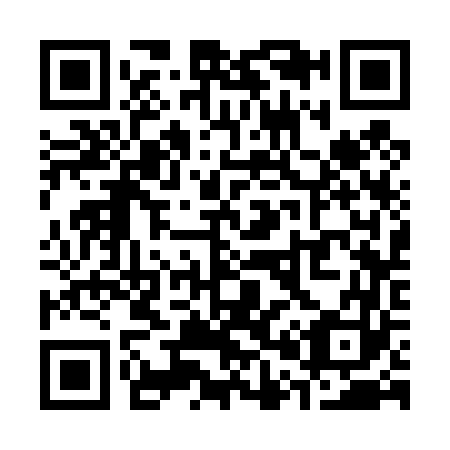 QR code for S03463