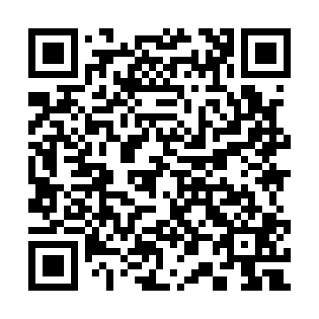 QR code for S09101